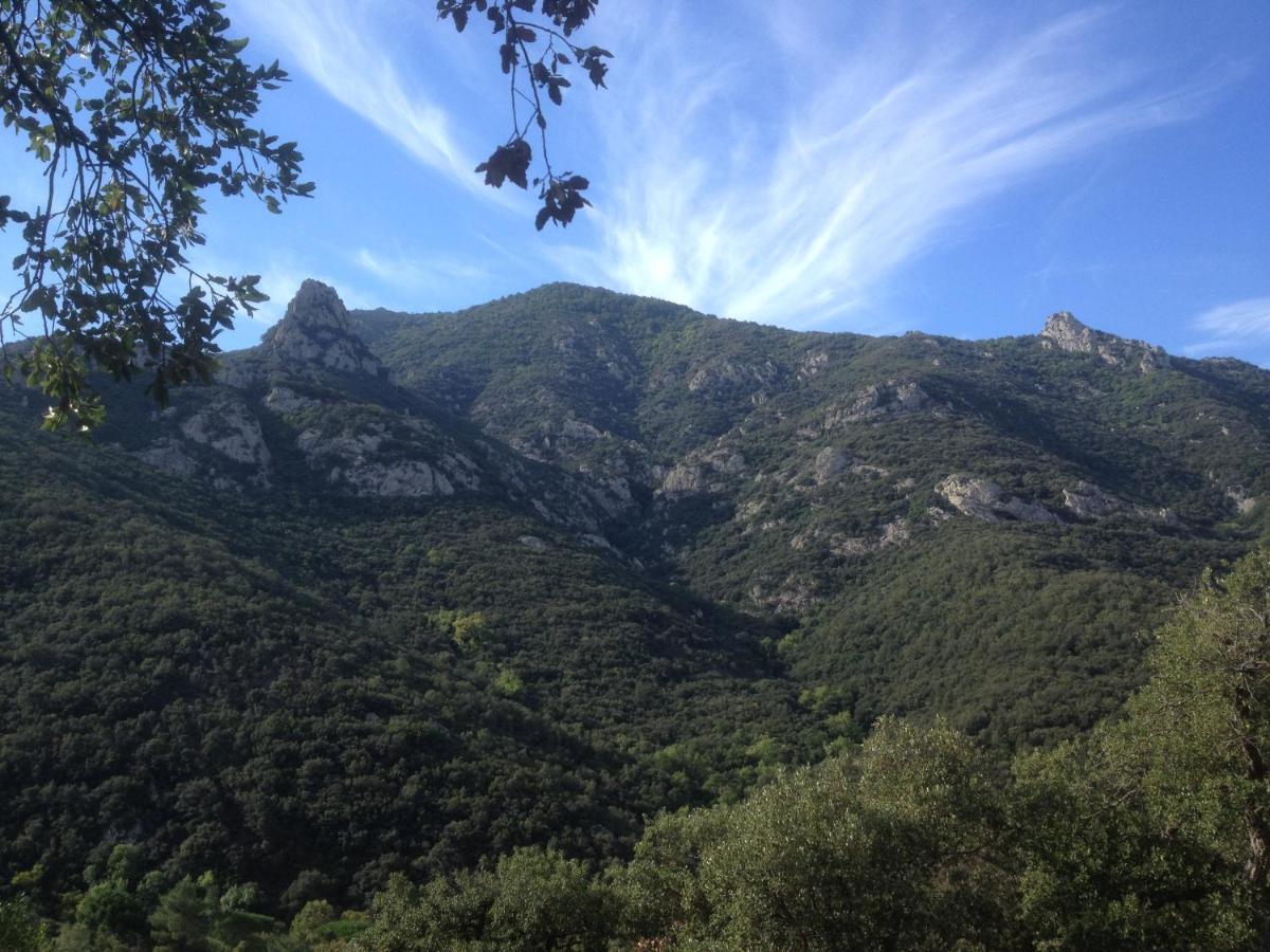 L'abri la Vall Sorède Exterior foto
